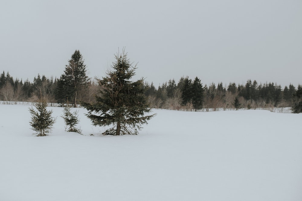 Photographe Mariage Québec - Canada - Emmanuelle Auzou Photographe de Mariage en France