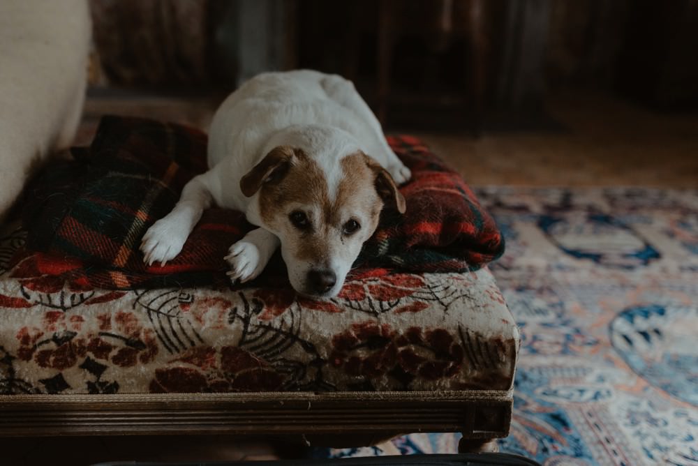 Photographe de mariage à l'Orangerie Saint Jean à La Chapelle sur Dun en Normandie - Salle de réception à la campagne, mariage sous tente, fleuriste Aude de Boishebert, robe Rosa Clara